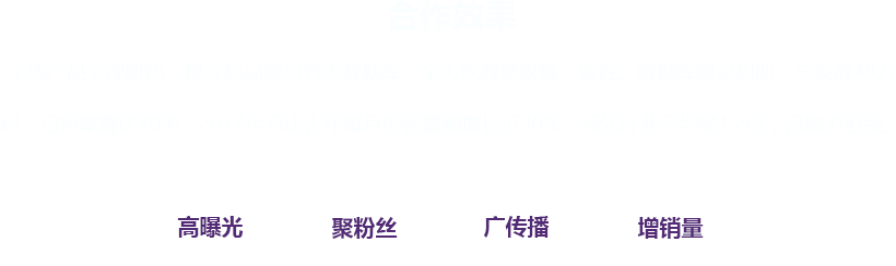 大数据分析系统