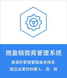 微盈销微商管理系统